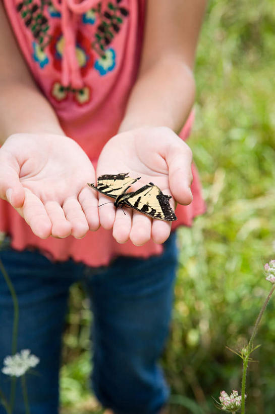 西方人,儿童,手,一个人,站,捧,竖图,俯视,室外,特写,白天,纯洁,草地,草坪,植物,蝴蝶,欧洲,欧洲人,双手,仅一个女性,仅一个人,服装,朦胧,模糊,昆虫,休闲装,草,一只,小孩,衣服,绿色,动物,站着,仅一个小孩,休闲,手部,休闲服,可爱,童年,童趣,服饰,益虫,童真,烂漫,无邪,天真,女孩,女人,女性,白种人,孩子,端,端着,捧着,手捧,站立,半身,彩图,高角度拍摄,女生