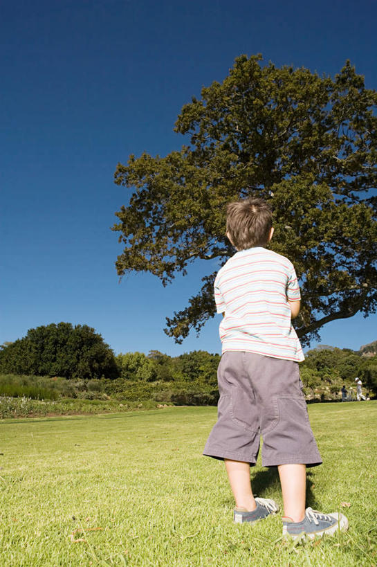 西方人,儿童,一个人,站,竖图,室外,白天,旅游,度假,纯洁,草地,草坪,美景,植物,欧洲,欧洲人,仅一个男性,仅一个人,阴影,服装,光线,影子,景观,注视,休闲装,娱乐,草,树,树木,小孩,背面,衣服,蓝色,绿色,蓝天,天空,阳光,自然,天,观察,看,站着,仅一个小孩,享受,休闲,休闲服,景色,放松,可爱,童年,童趣,服饰,生长,晴朗,成长,观看,察看,关注,自然风光,童真,烂漫,无邪,万里无云,天真,男孩,男人,男性,白种人,孩子,晴空,晴空万里,站立,彩图,全身,男生