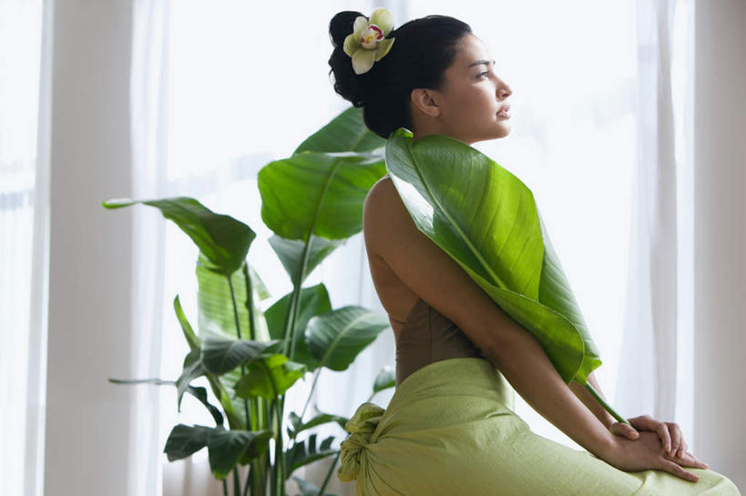 西方人,一个人,坐,横图,室内,白天,侧面,植物,窗户,窗帘,叶子,吊带,欧洲,欧洲人,仅一个年轻女性,仅一个女性,仅一个人,握,阴影,服装,装饰,反射,盆栽,影子,绿叶,盆景,注视,吊带衫,玻璃窗,衣服,绿色,自然,帘子,观察,看,嫩叶,遮阳,握着,服饰,生长,成长,观看,华丽,修饰,点缀,察看,衣着,穿着,关注,衬托,美观,雅致,雅观,衣饰,尤物,年轻女性,女人,女性,白种人,叶,叶片,抬头,仰头,坐着,半身,彩图,佳丽,丽人,美人