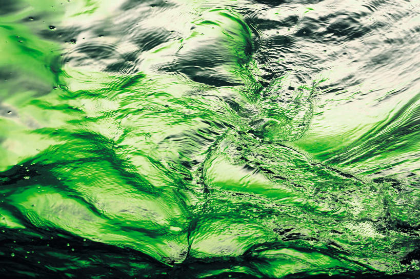 无人,横图,俯视,室内,特写,白天,水,绿色背景,阴影,波纹,飞溅,溅,透明,反射,螺旋,液体,影子,气泡,水滴,涟漪,漩涡,水泡,水珠,水纹,泡泡,波浪,摄影,影棚,旋涡,圆弧,喷洒,水晕,彩图,高角度拍摄,影棚拍摄,拍摄