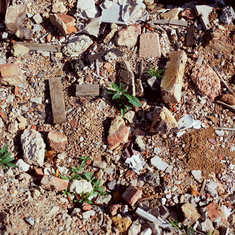 无人,方图,俯视,室外,白天,石头,叶子,一堆,阴影,堆叠,堆积,光线,石子,影子,绿叶,垃圾,凌乱,阳光,建筑工地,嫩叶,堆,混乱,地盘,建筑地盘,施工地盘,纷乱,缭乱,庞杂,渣滓,叶,叶片,石块,彩图,高角度拍摄,工地