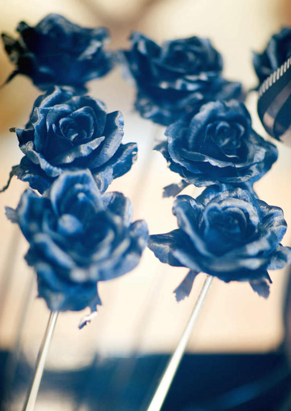 无人,竖图,室内,白天,正面,圣诞节,一排,许多,大量,节日,朦胧,模糊,庆祝,整齐,装饰,玫瑰花,文化,装饰品,排列,蓝色,装饰物,庆典,纪念,队列,彩图