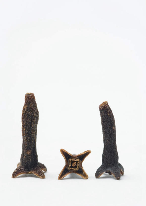 无人,竖图,室内,特写,白天,白色背景,正面,桌面,桌子,一排,整齐,干燥,调料,香料,食品,棕色,调味品,调味料,食物,排列,三个,摄影,影棚,队列,光辉,晾干,初恋,愁绪,愁怨,华北紫丁香,龙梢子,丁香,紫丁香,彩图,影棚拍摄,拍摄