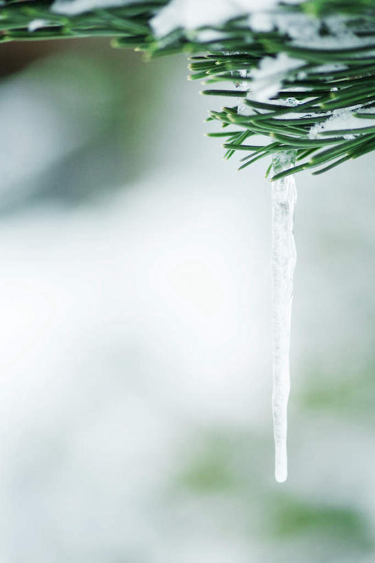 无人,竖图,俯视,室外,特写,白天,旅游,度假,美景,雪,大雪,叶子,许多,吊挂,悬挂,朦胧,模糊,清澈,冰,积雪,景观,雪景,冬天,冰块,绿叶,冰柱,挂,娱乐,松叶,自然,享受,休闲,嫩叶,景色,放松,寒冷,冰冷,自然风光,严寒,冰凉,酷寒,凛冽,凛凛,极冷,清亮,叶,叶片,彩图,高角度拍摄