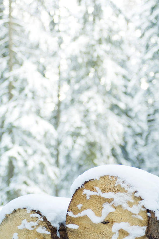 无人,竖图,俯视,室外,特写,白天,美景,树林,雪,植物,大雪,阴影,朦胧,模糊,光线,木头,影子,积雪,景观,雪景,冬天,树,树木,绿色,阳光,自然,景色,生长,成长,原木,自然风光,彩图,高角度拍摄