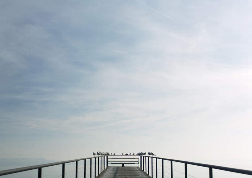 无人,栏杆,站,横图,室外,白天,仰视,旅游,度假,美景,鸟,许多,鸟类,水鸟,景观,云,云朵,围栏,云彩,注视,娱乐,护栏,蓝色,白云,蓝天,天空,自然,天,观察,看,站着,享受,休闲,景色,放松,晴朗,观看,水禽,察看,禽类,关注,自然风光,晴空,站立,彩图,低角度拍摄,全身