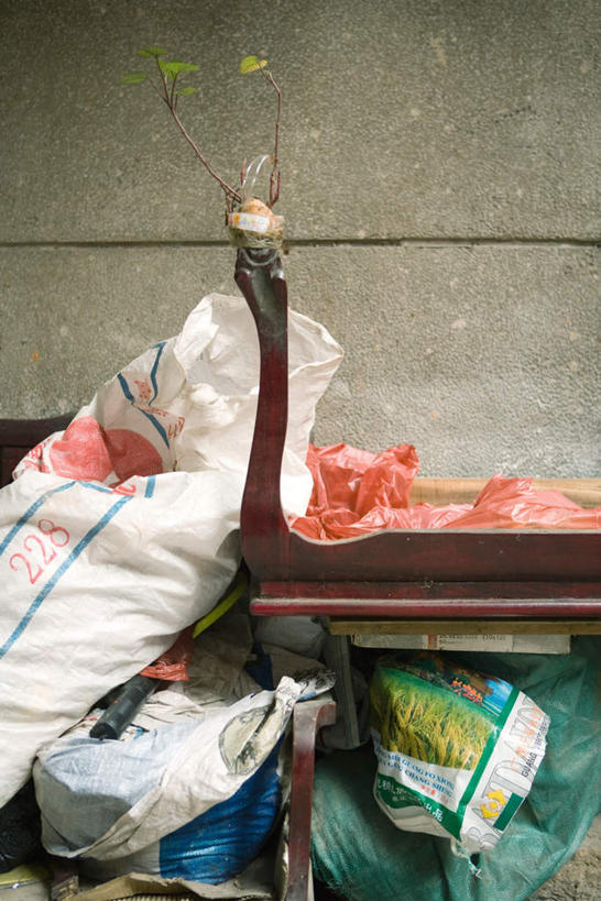 无人,竖图,室外,特写,白天,正面,植物,叶子,环保,木桌,墙,绿叶,垃圾,垃圾桶,塑料袋,墙壁,墙面,容器,嫩叶,能源,储藏,垃圾箱,回收,资源,储存,利用,低碳,秧苗,循环,持续,叶,叶片,彩图,贮存