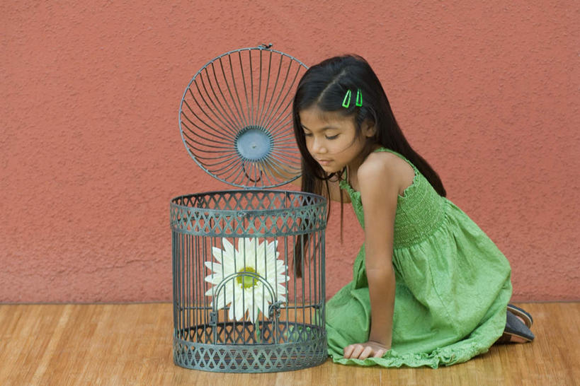 西方人,儿童,一个人,站,横图,俯视,室内,白天,裙子,纯洁,植物,地板,欧洲,欧洲人,仅一个女性,仅一个人,弯腰,握,连衣裙,盛开,盖子,盆栽,墙,波斯菊,鸟笼,盆景,地面,拿,花蕾,拎,拿着,注视,木地板,墙壁,墙面,花,花瓣,花朵,鲜花,一朵,小孩,红色,绿色,白色,自然,花苞,花蕊,看,站着,仅一个小孩,菊花,可爱,童年,童趣,握着,生长,成长,铁笼,半身裙,吊带裙,童真,烂漫,无邪,笼盖,天真,女孩,女人,女性,白种人,孩子,站立,彩图,高角度拍摄,全身,女生,拎着