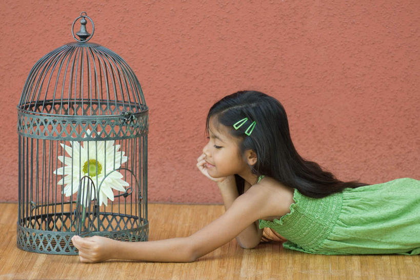 西方人,儿童,一个人,横图,室内,白天,侧面,裙子,纯洁,植物,地板,欧洲,欧洲人,仅一个女性,仅一个人,握,连衣裙,盛开,盆栽,墙,波斯菊,鸟笼,盆景,地面,拿,花蕾,拿着,注视,木地板,墙壁,墙面,花,花瓣,花朵,鲜花,一朵,小孩,红色,绿色,白色,自然,花苞,花蕊,看,趴着,仅一个小孩,菊花,可爱,童年,童趣,握着,生长,成长,铁笼,半身裙,吊带裙,童真,烂漫,无邪,笼盖,天真,女孩,女人,女性,白种人,孩子,趴,半身,彩图,女生