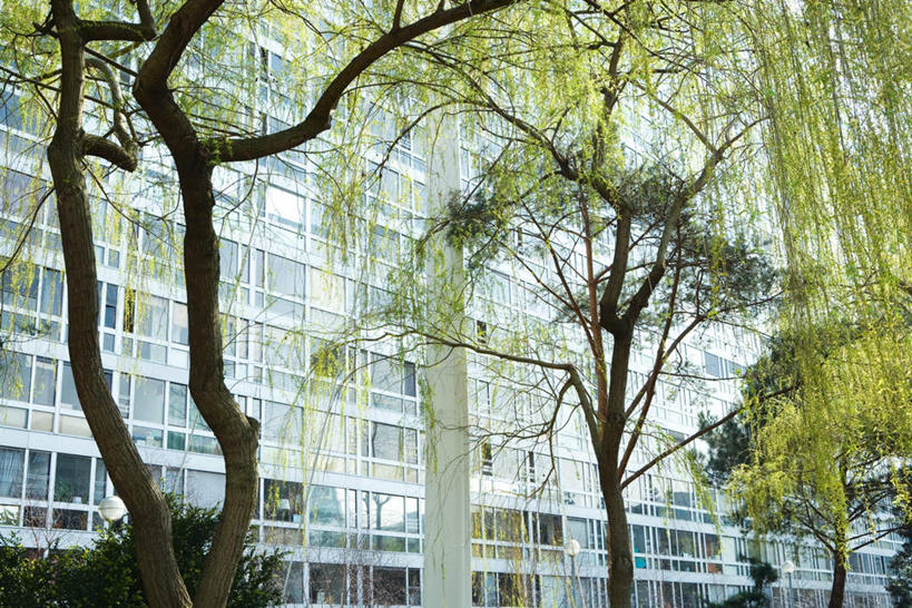 无人,高楼大厦,横图,室外,白天,仰视,植物,窗户,落地窗,道路,建筑,街道,路,摩天大楼,公路,房屋,屋子,公寓,交通,楼房,玻璃窗,住宅,树,树木,绿色,自然,生长,成长,马路,彩图,低角度拍摄,房子,大楼,高层建筑,高楼,摩天楼