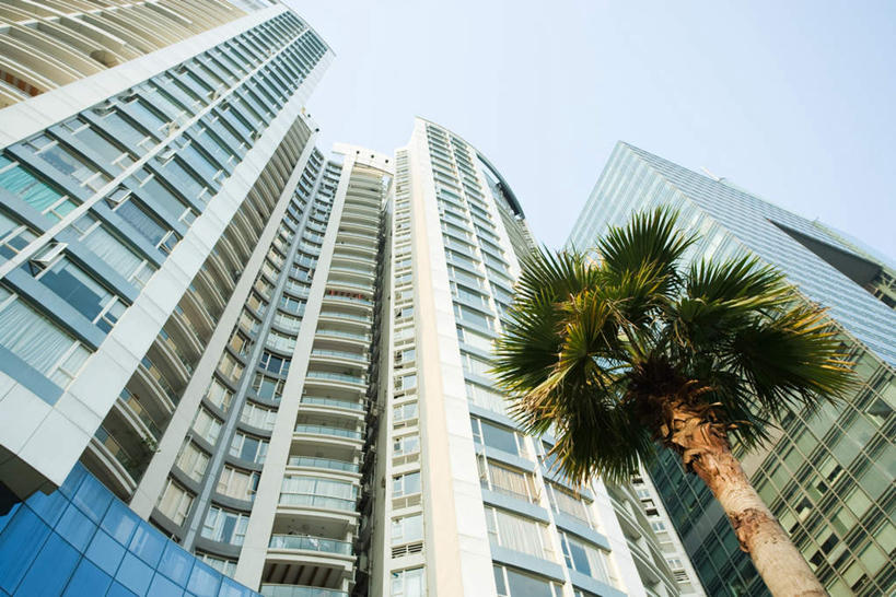 无人,高楼大厦,横图,室外,白天,仰视,植物,标志建筑,大厦,地标,建筑,摩天大楼,棕榈树,叶子,广州,中国,亚洲,建筑群,绿叶,绿化,建设,树,树木,蓝色,绿色,蓝天,天空,自然,天,嫩叶,生长,晴朗,成长,东亚,棕榈叶,广东,广东省,万里无云,中华人民共和国,华南地区,省会,广州市,粤,叶,叶片,晴空,晴空万里,彩图,低角度拍摄,大楼,高层建筑,高楼,摩天楼