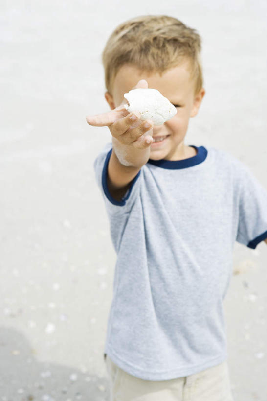 西方人,儿童,一个人,站,举,竖图,俯视,室外,白天,游戏,纯洁,沙滩,欧洲,欧洲人,仅一个男性,仅一个人,阴影,短裤,光线,沙子,影子,海岸,海螺,沙地,玩,T恤,注视,娱乐,小孩,阳光,观察,看,伸,托,站着,仅一个小孩,休闲,短袖,可爱,童年,童趣,凝视,伸手,遮,查看,遮挡,注意,关注,童真,烂漫,无邪,遮盖,遮蔽,天真,男孩,男人,男性,白种人,孩子,海滩,举起,举手,举着,抬头,玩耍,嬉戏,向上举,向上伸,向上托,仰头,彩图,高角度拍摄,全身,男生