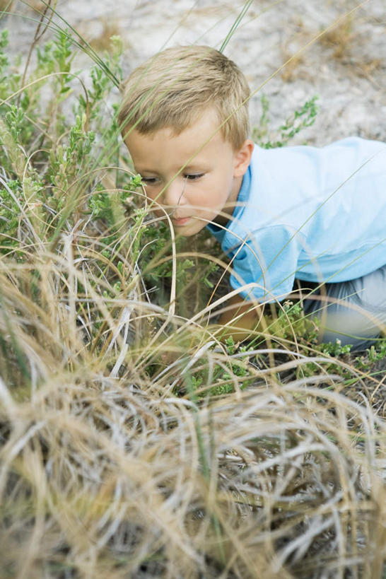西方人,儿童,一个人,蹲,笑,微笑,露齿笑,竖图,俯视,室外,白天,游戏,纯洁,草地,草坪,植物,欧洲,欧洲人,仅一个男性,仅一个人,短裤,玩,T恤,注视,娱乐,草,小孩,绿色,观察,看,仅一个小孩,休闲,短袖,可爱,童年,童趣,凝视,查看,注意,关注,童真,烂漫,无邪,天真,男孩,男人,男性,白种人,孩子,蹲着,玩耍,嬉戏,半身,彩图,高角度拍摄,男生