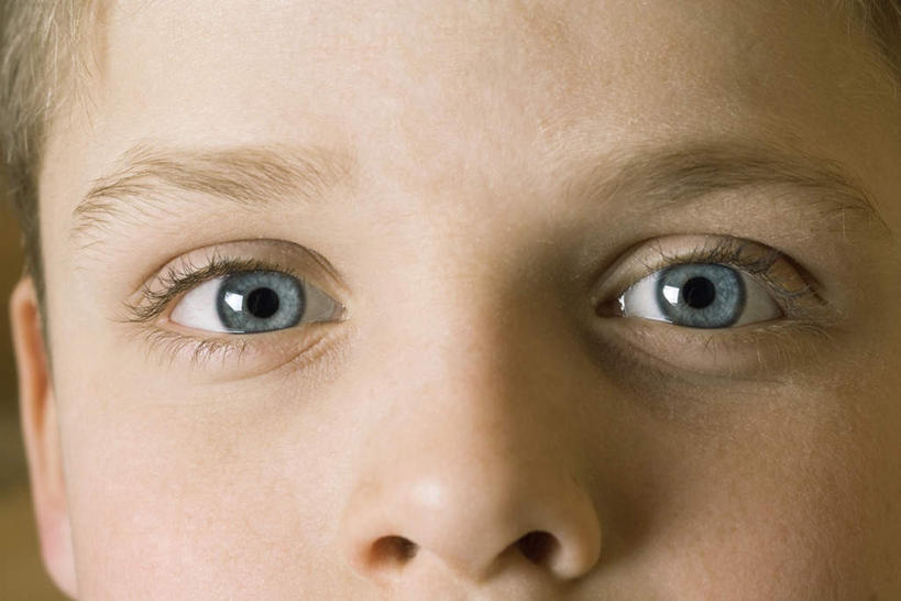 西方人,儿童,脸,头,脸颊,一个人,横图,室外,特写,白天,正面,纯洁,欧洲,欧洲人,瞳孔,仅一个男性,仅一个人,注视,小孩,蓝色,看,仅一个小孩,可爱,童年,童趣,童真,烂漫,无邪,天真,男孩,男人,男性,白种人,孩子,头部,脸部,脸蛋,面部,半身,彩图,男生