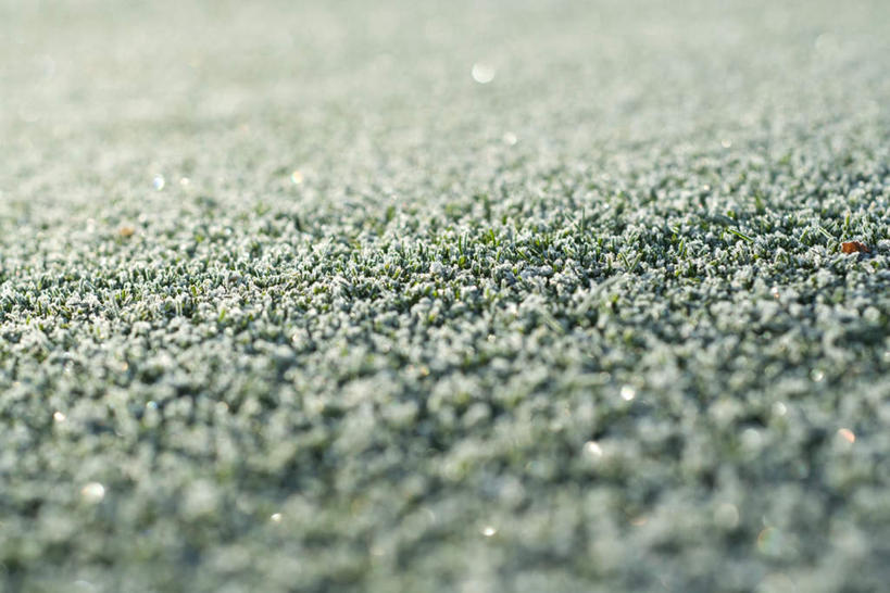 无人,横图,室外,特写,白天,正面,草地,草坪,美景,植物,朦胧,模糊,纹理,景观,霜,草,绿色,自然,景色,寒冷,自然风光,冻结,彩图