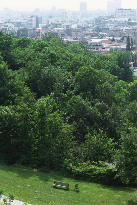 无人,高楼大厦,竖图,俯视,室外,白天,旅游,度假,草地,草坪,美景,植物,大厦,建筑,摩天大楼,椅子,阴影,光线,影子,景观,娱乐,草,树,树木,蓝色,绿色,蓝天,天空,阳光,自然,天,享受,休闲,景色,放松,生长,成长,自然风光,彩图,高角度拍摄,大楼,高层建筑,高楼,摩天楼