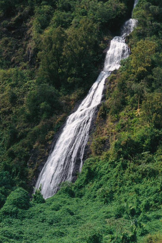 无人,竖图,室外,白天,正面,旅游,度假,草地,草坪,美景,瀑布,山,水,植物,阴影,飞溅,溅,光线,液体,影子,景观,山峰,山峦,娱乐,草,树,树木,绿色,阳光,自然,享受,休闲,景色,放松,流动,生长,成长,喷洒,自然风光,跌水,彩图