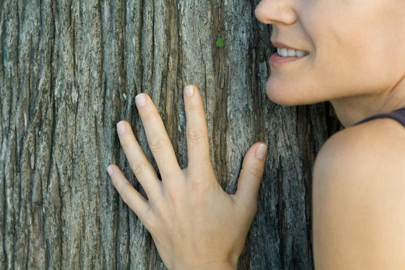 西方人,手,一个人,站,笑,摸,微笑,露齿笑,横图,室外,特写,白天,侧面,植物,欧洲,欧洲人,仅一个年轻女性,仅一个女性,仅一个人,抚摸,阴影,光线,影子,树,树干,树木,绿色,阳光,自然,倚靠,站着,手部,生长,成长,年轻女性,女人,女性,白种人,触摸,接触,站立,半身,彩图