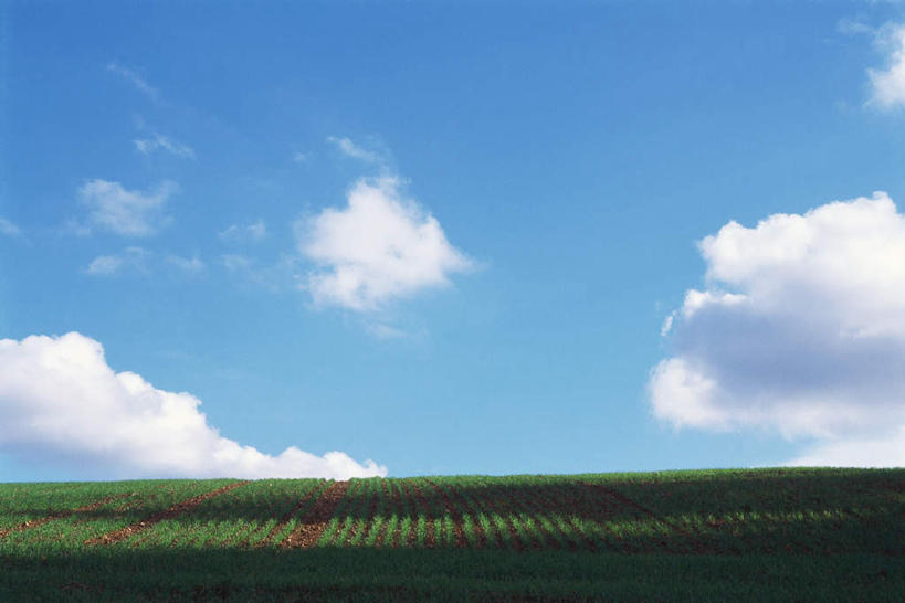 无人,农田,横图,室外,白天,正面,旅游,度假,农业,庄稼,农作物,草地,草坪,美景,植物,阴影,光线,影子,景观,云,云朵,云彩,娱乐,草,蓝色,绿色,白云,蓝天,天空,阳光,自然,天,享受,休闲,景色,放松,自然风光,彩图,耕地,庄稼田