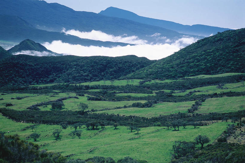 无人,农田,横图,俯视,室外,白天,庄稼,草地,草坪,美景,山,山脉,植物,雾,朦胧,模糊,景观,山峰,山峦,草,树,树木,绿色,自然,群山,景色,生长,成长,迷雾,自然风光,大雾,彩图,高角度拍摄,耕地,庄稼田