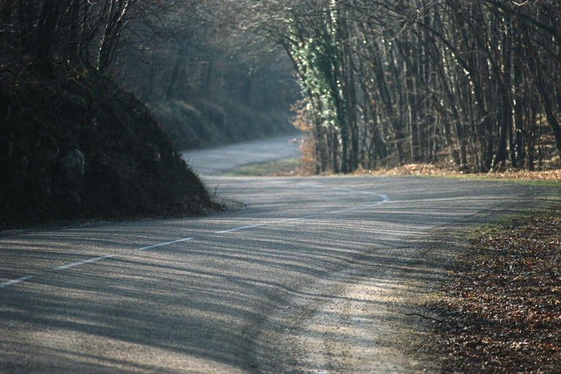 无人,横图,室外,白天,正面,旅游,度假,植物,道路,路,许多,阴影,枯萎,光线,影子,小路,分界线,枯草,落叶,地面,停车线,交通,娱乐,草,树,树木,黄色,绿色,阳光,自然,享受,休闲,放松,生长,成长,车行道,车行道分界线,标线,车行线,彩图