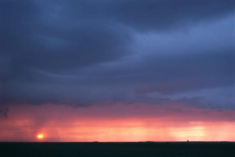 无人,横图,室外,白天,仰视,草地,草坪,日出,美景,太阳,植物,阴影,光线,影子,地平线,景观,云,云朵,辽阔,地面,朝霞,晨曦,黎明,云彩,草,绿色,白云,天空,阳光,自然,天,广阔,景色,一望无际,自然风光,延伸,天地相交,无边无际,一马平川,朝阳,彩图,低角度拍摄,破晓