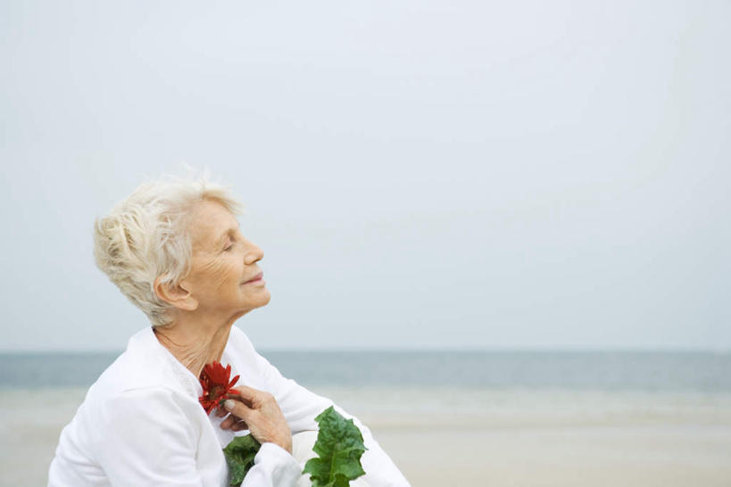 皱纹,头发,一个人,坐,抱,笑,微笑,横图,室外,白天,侧面,快乐,幸福,海洋,沙滩,叶子,仅一个女性,仅一个人,握,朦胧,模糊,盛开,沙子,海岸,浪花,水平线,云,辽阔,玛格丽特,海平线,沙地,拿,花蕾,云彩,拿着,雏菊,花,花瓣,花朵,鲜花,一朵,绿色,白色,白云,天空,海水,花束,天,花苞,花蕊,广阔,菊花,活力,握着,仅一个老年女性,抱着,希望,一望无际,搂着,坚强,和平,海景,离别,延命菊,幸福花,春菊,马兰头花,暗恋,纯情,单恋,无边无际,一马平川,天真,老年女性,女人,女性,大海,海,海水的波动,海滩,近岸浪,怀抱,搂,搂抱,拥抱,坐着,半身,彩图,深情,愉快,水天相接,水天一线