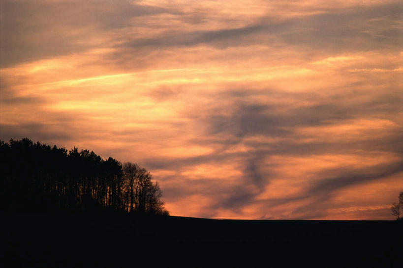 无人,横图,室外,白天,仰视,旅游,度假,美景,日落,植物,许多,景观,晚霞,霞光,云,云朵,云彩,娱乐,树,树木,绿色,天空,自然,黄昏,天,享受,休闲,景色,彩霞,放松,生长,成长,自然风光,夕阳,彩图,低角度拍摄