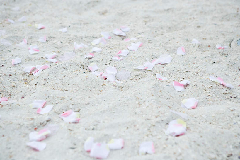 无人,横图,俯视,室外,特写,白天,爱情,旅游,度假,幸福,纯洁,热情,美景,沙滩,玫瑰,许多,阴影,光线,沙子,影子,海岸,景观,玫瑰花,沙地,浪漫,花蕾,娱乐,花,花瓣,花朵,鲜花,阳光,自然,花苞,花蕊,享受,休闲,温暖,温馨,景色,恩爱,放松,和睦,自然风光,感动,尊敬,天真,刺玫花,徘徊花,海滩,彩图,高角度拍摄,融洽