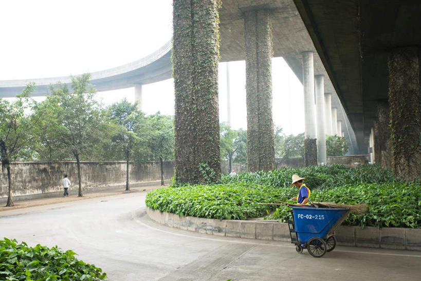 东方人,三个人,清洁工,横图,室外,白天,侧面,度假,美景,植物,城市风光,城市,道路,路,指示牌,公路,万年青,中国,亚洲,阴影,光线,标志,影子,景观,云,分界线,常春藤,爬山虎,草药,停车线,交通,云彩,黄种人,娱乐,标识,中药,树,树木,绿色,白云,天空,阳光,自然,天,享受,休闲,景色,放松,生长,成长,车行道,车行道分界线,标线,药材,中草药,清洁员,保洁员,爬墙虎,东亚,车行线,中药材,本草,地锦,趴山虎,巴山虎,中华人民共和国,清洁人员,男人,男性,女人,女性,中年男性,中年女性,亚洲人,清洁工人,马路,彩图,全身,常青藤