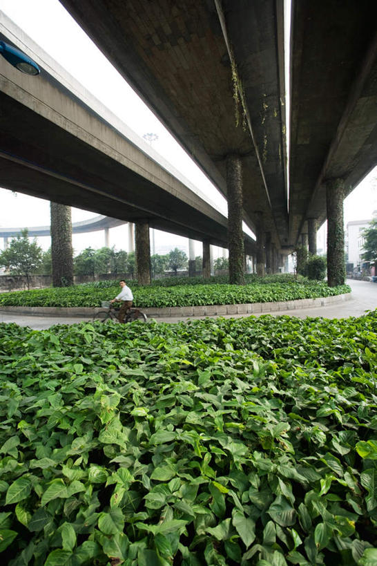 东方人,一个人,竖图,室外,白天,侧面,度假,美景,植物,城市风光,城市,道路,路,路灯,指示牌,公路,万年青,中国,亚洲,仅一个男性,仅一个人,仅一个中年男性,阴影,光线,标志,影子,景观,云,灯光,分界线,常春藤,爬山虎,草药,停车线,交通,云彩,黄种人,娱乐,标识,中药,灯,树,树木,绿色,白云,天空,阳光,自然,天,享受,休闲,景色,放松,生长,成长,车行道,车行道分界线,照明设备,标线,药材,中草药,爬墙虎,东亚,车行线,中药材,本草,地锦,趴山虎,巴山虎,中华人民共和国,男人,男性,中年男性,亚洲人,马路,彩图,全身,常青藤