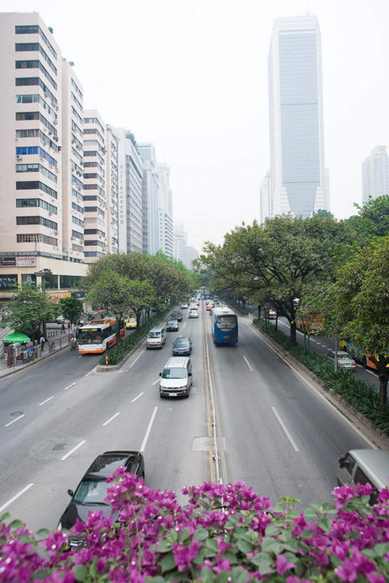 无人,高楼大厦,竖图,俯视,室外,白天,度假,花圃,美景,植物,城市风光,标志建筑,城市,大厦,道路,地标,建筑,路,公路,公共汽车,汽车,叶子,广州,中国,亚洲,盛开,景观,云,建筑群,分界线,巴士,停车线,公交车,交通,花蕾,云彩,娱乐,建设,车,花,花瓣,花朵,鲜花,树,树木,绿色,白云,天空,自然,交通工具,轿车,花丛,花束,天,花苞,花蕊,享受,休闲,景色,放松,生长,成长,车行道,车行道分界线,标线,东亚,车行线,广东,广东省,中华人民共和国,华南地区,省会,广州市,粤,马路,彩图,高角度拍摄,大楼,高层建筑,高楼