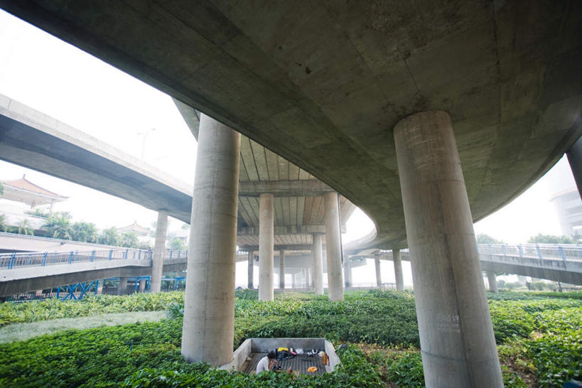 东方人,一个人,栏杆,站,竖图,室外,白天,仰视,度假,草地,草坪,美景,植物,城市风光,标志建筑,城市,大桥,地标,建筑,立交桥,桥梁,指示牌,广州,中国,亚洲,仅一个男性,仅一个人,仅一个中年男性,服装,标志,文字,栅栏,景观,云,云朵,高架,围栏,桥,分界线,停车线,云彩,注视,休闲装,黄种人,娱乐,标识,护栏,草,树,树木,衣服,绿色,白云,天空,自然,天,观察,看,站着,享受,休闲,休闲服,景色,放松,服饰,生长,成长,观看,车行道,车行道分界线,察看,关注,标线,东亚,车行线,广东,广东省,中华人民共和国,华南地区,省会,广州市,粤,男人,男性,中年男性,亚洲人,站立,半身,彩图,低角度拍摄