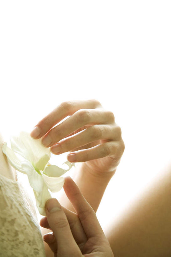 西方人,一个人,竖图,俯视,室内,特写,白天,白色背景,叶子,欧洲,欧洲人,仅一个年轻女性,仅一个女性,仅一个人,握,阴影,朦胧,模糊,盛开,光线,影子,拿,花蕾,拿着,花,花瓣,花朵,鲜花,一朵,白色,花苞,花蕊,握着,摄影,影棚,高雅,淡泊,花中君子,兰花,年轻女性,女人,女性,白种人,叶,叶片,半身,彩图,高角度拍摄,影棚拍摄,拍摄