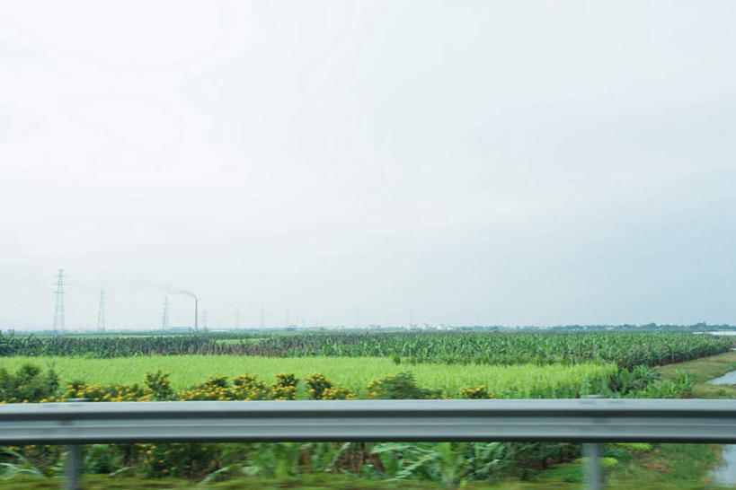 无人,农田,栏杆,竖图,室外,白天,正面,旅游,度假,庄稼,花海,花圃,河流,美景,水,叶子,中国,亚洲,盛开,栅栏,河水,景观,水流,云,云朵,围栏,花蕾,云彩,娱乐,护栏,花,花瓣,花朵,鲜花,蓝色,绿色,白云,蓝天,天空,自然,花丛,花束,花田,天,花苞,花蕊,享受,休闲,景色,放松,自然风光,东亚,中华人民共和国,彩图,耕地,庄稼田