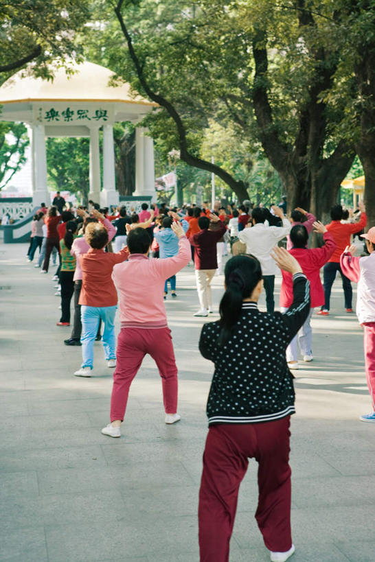 东方人,伙伴,朋友,广场,举,竖图,室外,白天,锻炼,友谊,运动,植物,中国,亚洲,握,阴影,光线,扇子,影子,折扇,纸扇,许多人,清凉,拿,拿着,黄种人,凉爽,文化,树,树木,背面,绿色,阳光,自然,凉亭,托,一群人,握着,生长,成长,东亚,中华人民共和国,撒扇,体育,友情,女人,女性,中年女性,亚洲人,举起,举手,举着,向上举,向上伸,向上托,半身,彩图,健身,传统文化