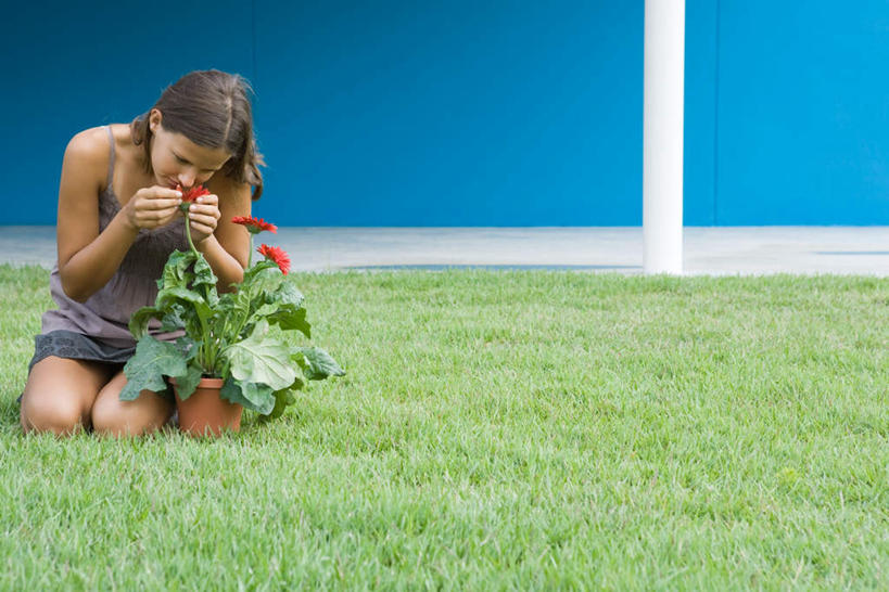 西方人,一个人,坐,蹲,笑,微笑,竖图,室外,白天,正面,裙子,草地,草坪,植物,欧洲,欧洲人,仅一个年轻女性,仅一个女性,仅一个人,握,连衣裙,朦胧,模糊,墙,拿,拿着,注视,闻,墙壁,墙面,草,蓝色,绿色,观察,看,握着,观看,半身裙,吊带裙,察看,关注,年轻女性,女人,女性,白种人,蹲着,坐着,彩图,全身