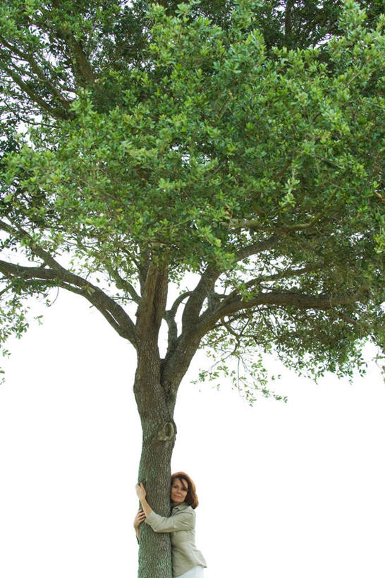 西方人,一个人,站,抱,笑,微笑,露齿笑,竖图,室外,白天,仰视,树林,植物,欧洲,欧洲人,仅一个女性,仅一个人,注视,休闲装,树,树木,蓝色,绿色,蓝天,天空,自然,天,看,站着,仅一个中年女性,休闲,休闲服,生长,成长,抱着,搂着,女人,女性,中年女性,白种人,搂,搂抱,站立,半身,彩图,低角度拍摄