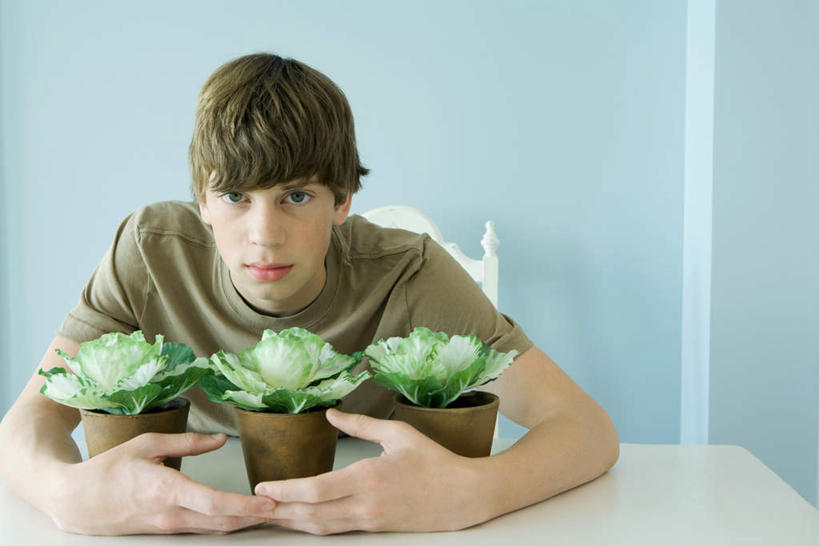 西方人,儿童,一个人,坐,抱,笑,微笑,横图,室内,白天,正面,纯洁,植物,餐桌,桌子,椅子,欧洲,欧洲人,仅一个男性,仅一个人,撑,盆栽,墙,盆景,注视,墙壁,墙面,三个,小孩,绿色,自然,看,仅一个小孩,可爱,童年,童趣,生长,成长,餐台,撑着,童真,烂漫,无邪,天真,男孩,男人,男性,白种人,孩子,坐着,半身,彩图,男生