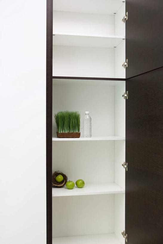 无人,家,竖图,室内,白天,正面,植物,厨房,柜子,家具,装修,建筑,苹果,水果,新鲜,装饰,罐子,房屋,墙,屋子,公寓,生食,食品,果实,草药,药草,古典,建设,装潢,洋房,楼房,中药,墙壁,墙面,住宅,玻璃制品,食物,三个,绿色,玻璃瓶,瓶子,橱柜,室内装潢,中式,有机食品,绿色食品,明亮,舒适,家居装潢,药材,中草药,房屋设计,室内设计,宽敞,中药材,本草,样板房装潢,设计,彩图,房子,灶间