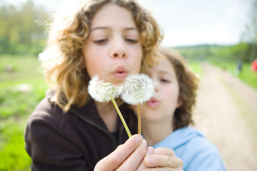 西方人,儿童,头发,两个人,伙伴,朋友,站,横图,室外,白天,正面,友谊,纯洁,草地,草坪,植物,蒲公英,欧洲,欧洲人,握,朦胧,模糊,拿,拿着,注视,休闲装,草,树,树木,两个,小孩,黄色,绿色,白色,天空,自然,天,吹,低头,看,站着,休闲,休闲服,可爱,童年,童趣,握着,生长,成长,童真,烂漫,无邪,天真,友情,女孩,女人,女性,白种人,蒲公草,尿床草,站立,半身,彩图,女生