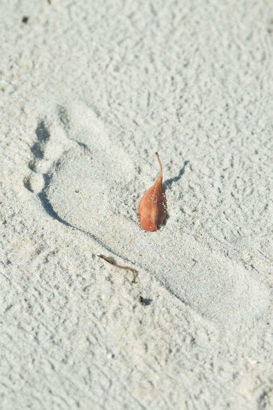 无人,竖图,俯视,室外,特写,白天,美景,沙滩,叶子,脚印,阴影,朦胧,模糊,光线,沙子,影子,海岸,景观,枯叶,沙地,一个,阳光,自然,景色,单个,自然风光,海滩,彩图,高角度拍摄