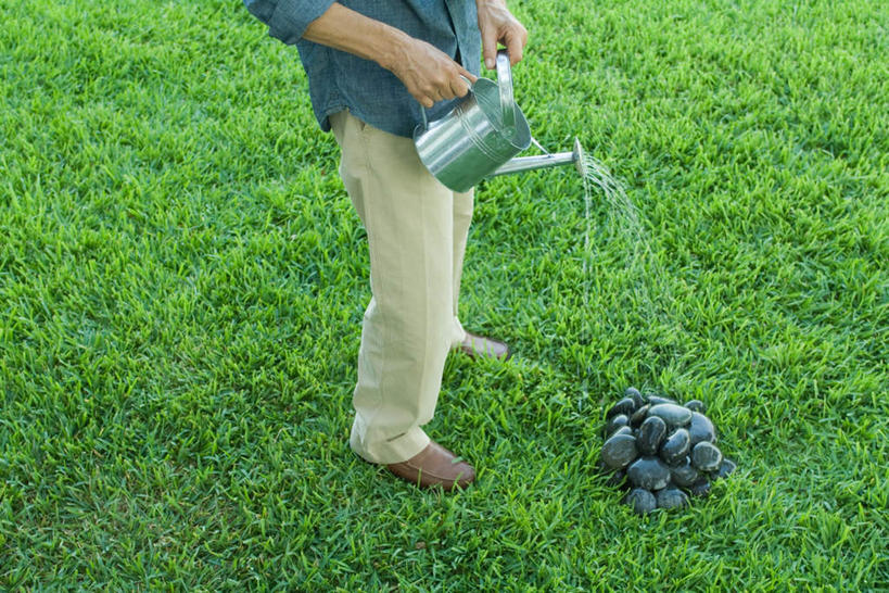 西方人,一个人,站,横图,俯视,室外,白天,草地,草坪,石头,植物,欧洲,欧洲人,仅一个男性,仅一个人,一堆,许多,倒,握,堆叠,堆积,石子,水桶,拿,拿着,草,仅一个年轻男性,绿色,站着,鹅卵石,握着,堆,按摩石,男人,男性,年轻男性,白种人,石块,站立,半身,彩图,高角度拍摄