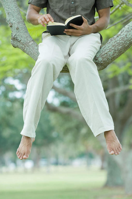 西方人,腿部,脚,脚趾,脚趾甲,腿,一个人,坐,竖图,室外,白天,正面,阅读,草地,草坪,植物,报纸,书籍,欧洲,欧洲人,仅一个年轻女性,仅一个女性,仅一个人,握,学习,阴影,朦胧,模糊,光线,影子,拿,拿着,注视,光脚,草,树,树木,绿色,阳光,自然,低头,看,赤脚,浏览,握着,生长,成长,翻阅,年轻女性,女人,女性,白种人,脚指甲,书,图书,坐着,半身,彩图