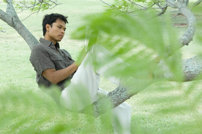 西方人,头发,一个人,躺,笑,微笑,横图,俯视,室外,白天,草地,草坪,植物,叶子,欧洲,欧洲人,仅一个男性,仅一个人,朦胧,模糊,绿叶,注视,休闲装,草,树,树木,仅一个年轻男性,绿色,黑色,自然,低头,看,休闲,休闲服,嫩叶,生长,成长,卧着,男人,男性,年轻男性,白种人,叶,叶片,躺着,卧,半身,彩图,高角度拍摄