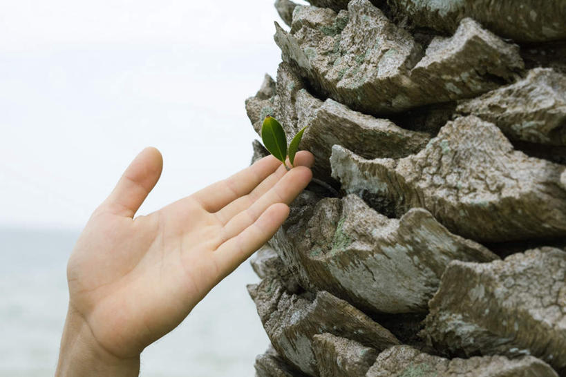 西方人,手,一个人,站,横图,室外,特写,白天,正面,海浪,海洋,石头,叶子,欧洲,欧洲人,仅一个女性,仅一个人,一堆,堆叠,堆积,朦胧,模糊,石子,浪花,绿叶,海水,站着,仅一个中年女性,手部,嫩叶,堆,海景,女人,女性,中年女性,白种人,叶,叶片,大海,风浪,海,海水的波动,近岸浪,石块,岩石,涌浪,站立,半身,彩图