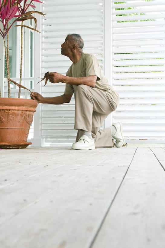 西方人,一个人,家,蹲,竖图,室外,白天,侧面,植物,地板,欧洲,欧洲人,仅一个男性,仅一个人,盆栽,房屋,墙,屋子,枯叶,落叶,盆景,地面,拿,拿着,注视,楼房,木地板,墙壁,墙面,住宅,黄色,自然,看,仅一个老年男性,生长,成长,一盆,关注,老年男性,男人,男性,白种人,蹲着,抬头,仰头,彩图,全身,房子