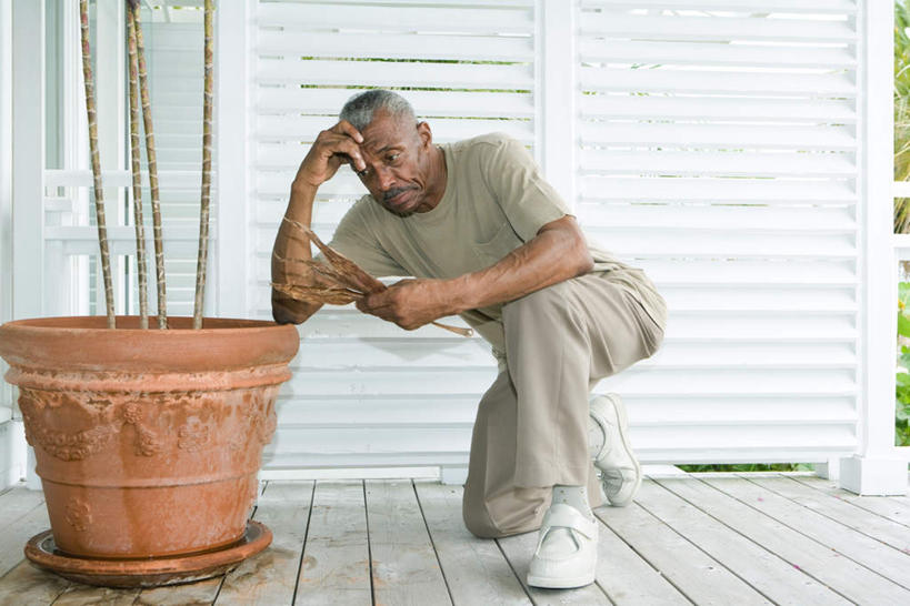 西方人,一个人,家,蹲,横图,室外,白天,正面,植物,地板,叶子,欧洲,欧洲人,仅一个男性,仅一个人,服装,盆栽,房屋,墙,屋子,落叶,盆景,地面,拿,拿着,注视,休闲装,楼房,木地板,墙壁,墙面,住宅,衣服,自然,观察,看,仅一个老年男性,休闲,休闲服,服饰,生长,成长,观看,一盆,察看,关注,老年男性,男人,男性,白种人,叶,叶片,蹲着,彩图,全身,房子