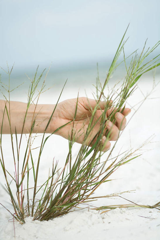 西方人,手,一个人,站,竖图,室外,特写,白天,正面,草地,草坪,沙滩,植物,欧洲,欧洲人,仅一个男性,仅一个人,仅一个中年男性,握,朦胧,模糊,沙子,海岸,云,云朵,沙地,云彩,草,蓝色,绿色,白云,蓝天,天空,天,站着,手部,握着,男人,男性,中年男性,白种人,海滩,站立,半身,彩图