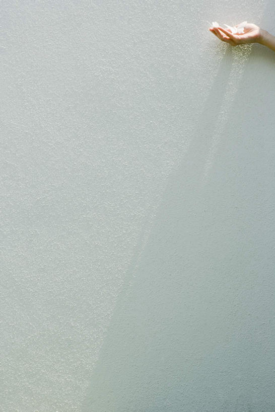 西方人,手,一个人,站,捧,竖图,俯视,室外,特写,白天,蝴蝶,欧洲,欧洲人,仅一个年轻女性,仅一个女性,仅一个人,阴影,光线,昆虫,影子,墙,墙壁,墙面,一只,白色,阳光,动物,站着,手部,益虫,年轻女性,女人,女性,白种人,端,端着,捧着,手捧,站立,半身,彩图,高角度拍摄